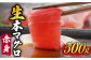 五島列島産 養殖 生本かみまぐろ 赤身 500g / まぐろ 鮪 刺身 ブロック