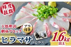 【鮮度抜群！しっかり歯ごたえが美味い！】 ヒラス （ヒラマサ） アラ付き  養殖 下処理済 真空パック 刺身 ブロック（1.6kg以上） 【ひまわり】 [RBK004]