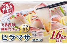 【鮮度抜群！しっかり歯ごたえが美味い！】 ヒラス （ヒラマサ） アラ付き  養殖 下処理済 真空パック 刺身 ブロック（1.6kg以上） 【ひまわり】 [RBK004]