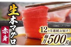 【全12回定期便】【ながさき水産業大賞受賞！！】五島列島産 養殖 生本かみまぐろ 赤身 ブロック 500g【カミティバリュー】 [RBP063]