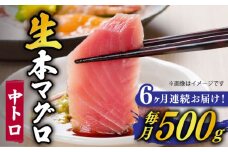【全6回定期便】【ながさき水産業大賞受賞！！】 五島列島産 養殖 生本かみまぐろ 中トロ ブロック 500g【カミティバリュー】 [RBP065]