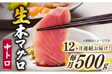 【全12回定期便】【ながさき水産業大賞受賞！！】 五島列島産 養殖 生本かみまぐろ 中トロ ブロック 500g【カミティバリュー】 [RBP066]