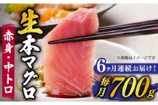 【全6回定期便】【ながさき水産業大賞受賞！！】五島列島産 養殖 生本かみまぐろ 赤身 中トロ ブロック 計約700g【カミティバリュー】 [RBP068]