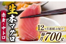 【全12回定期便】【ながさき水産業大賞受賞！！】五島列島産 養殖 生本かみまぐろ 赤身 中トロ ブロック 計約700g【カミティバリュー】 [RBP069]
