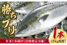 【12/29～12/31にお届け】【着日指定必須】 養殖 勝ち ブリ 1本 （約5kg） ぶり ブリ 鰤 ぶりしゃぶ 刺身 鮮魚 海鮮 魚 五島 五島列島 しゃぶしゃぶ 国産 新鮮 養殖 鍋 海鮮鍋 年末 正月 年内配送 年内発送 【カミティバリュー】 [RBP053]