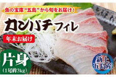 【年末配送！12/29～1/1着日時指定必須】養殖 カンパチ （片身フィレ） 年内 年内発送 正月 年末 年始 年末年始【上五島町漁業協同組合】 [RBN006]