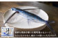 【全12回定期便】五島手延うどん 240g（80g×3束）×10袋 スープ付 / 五島うどん 乾麺 名物 新上五島町