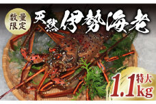 【限定数量】【五島列島の海の恵み】 特大 天然 活き 伊勢海老 1尾 1.1kg 【有川町漁業協同組合】 [RBH001]