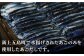 厳選 焼きあご 100g×12袋 / だし 和風 スープ 飛魚