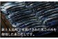 【年4回定期便】 厳選 焼きあご 100g×6袋 / だし スープ 飛魚 上五島