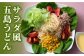 五島手延うどん 5種 バラエティーセット スープ・つゆ付【ますだ製麺】