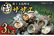 【コリコリ食感と濃厚な旨味！】 新上五島町産 新鮮 活サザエ 3kg【カミティバリュー】 [RBP020]