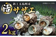 【コリコリ食感と濃厚な旨味！】 新上五島町産 新鮮 活 サザエ 2kg 【カミティバリュー】 [RBP019]