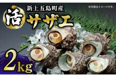【コリコリ食感と濃厚な旨味！】 新上五島町産 新鮮 活 サザエ 2kg 【カミティバリュー】 [RBP019]
