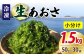 冷凍 生あおさ 50g×30袋 計1.5kg / 海藻 ヒトエグサ 海産物 上五島