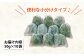 冷凍 生あおさ 50g×10袋 計500g / 海藻 ヒトエグサ 海産物 上五島