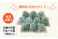 【全3回定期便】 冷凍 生あおさ 50g×10袋 計500g / 海藻 ヒトエグサ 海産物 上五島