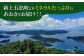 冷凍 生あおさ 50g×20袋 計1.0kg / 海藻 ヒトエグサ 海産物 上五島