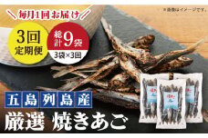 【全3回定期便】【上五島の伝統的な味をご家庭で】 厳選 無添加 焼きあご 100g×3袋【新魚目町漁業協同組合】 [RBC010]