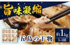 【五島列島の海の幸をお届け】干物セット 約1kg 3～4種【有福水産】 [RBV002]