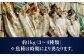 干物セット 約1kg 3～4種 / 魚 海鮮 魚介 上五島