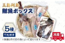 【下処理済】【冷蔵】 五島列島 鮮魚ボックス 5種 【ShiningFoods】 [RBR001]