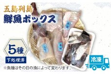 【下処理済】【冷凍】 五島列島 鮮魚ボックス 5種 【ShiningFoods】 [RBR002]