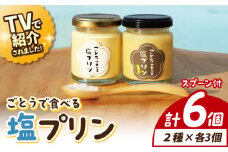 【ヒルナンデスで紹介されました！】ごとうで食べる 塩プリン 6個 椿スプーン付き【虎屋】 [RBA047]