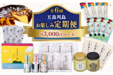 【全6回定期便】五島列島 お楽しみ定期便 月3,000円コース 五島うどん うどん ふしめん あご あごだし だし 塩 しお ソルト プリン チーズケーキ ケーキ 【虎屋】 [RBA051]