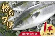 【2025年1月・2月・3月配送】【着日指定必須】 養殖 勝ち ブリ 1本 上五島産椿油配合 ぶり ブリ 鰤 ぶりしゃぶ 刺身 鮮魚 海鮮 海産物 魚 五島 五島列島 しゃぶしゃぶ 国産 新鮮 養殖 鍋 海鮮鍋 【カミティバリュー】 [RBP085]