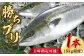 上五島産椿油を独自の飼料に配合。
健康志向の時代にマッチした養殖ブリです。