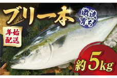 【3/7 申込締切！】【1/11～3/16の土日にお届け！】【着日指定必須】五島列島産 ブリ 一本（5kg程度）ぶり 鰤 ブリ ぶりしゃぶ しゃぶしゃぶ 刺身 鮮魚 海鮮 海産物 魚 五島 五島列島 上五島 長崎 国産 新鮮 養殖 冷蔵 鍋 海鮮鍋 贈答 年始 日付指定可能 日付指定【徳丸】 [RAC022]