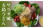 五島手延うどん しま乙女 240g×5袋 スープ×10袋 【ますだ製麺】
