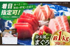 【最速発送】【激流育ち！】【部位は徳丸におまかせ】金太郎 マグロ  冷凍 ブロック 1kg程度  まぐろ 鮪 刺身 海鮮 魚【徳丸】 [RAC023] スピード発送 最短発送