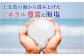 まあるい塩 45g×2袋 / 海塩 自然塩 調味料 新上五島町