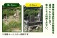 長崎県新上五島町限定 お墓詣り代行C / お墓参り 掃除 清掃 代行サービス