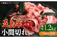 【全6回定期便】【希少で上品なお肉をご家庭で！】五島牛 バラ 小間切れ 3パック（1.2kg）6～8人前 切り落とし【ごとう農業協同組合】 [RAT016]