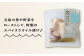 海のテリーヌとごちそうオイル漬　おまかせ6個セット