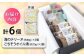 海のテリーヌとごちそうオイル漬　おまかせ6個セット