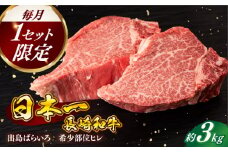 【日本一の和牛】【月に1セット限定】長崎和牛 出島ばらいろ ヒレ まるごと1本 3kg前後 【合同会社　肉のマルシン】 [RCI007]