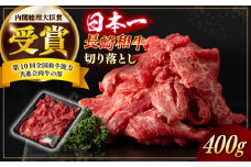 【日本一の和牛】長崎和牛 切り落とし 約400g （カタ、モモ、バラ、ロース、スネのいずれか）【合同会社　肉のマルシン】 [RCI037]