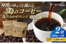 【全12回定期便】Fuuki Coffee　Roaster　Coffee　Beans うみかぜブレンド2パック【冨喜】 [RBO025]