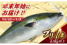 【12/22～1/3にお届け】【着日指定必須】ブリ 1本　(4.5キロ以上) 【ひまわり】 [RBK009]