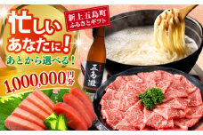 【あとから選べる】新上五島町ふるさとギフト 100万円分 和牛 五島うどん 鮮魚 海産物 年内発送 年内配送 あとから寄附 あとからギフト あとからセレクト 選べる寄付 選べるギフト あとから選べる 100万円 1000000円 [RZZ026]