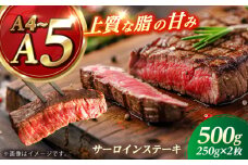 長崎和牛 サーロイン ステーキ 250g×2 【KRAZY MEAT】 A5 A4 冷凍 和牛 肉 牛肉 BBQ [RCQ003]