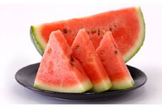 熊本産 西瓜 約5kg～ 1玉入り【2025年4月上旬～7月上旬発送予定】すいか 果物 フルーツ