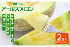 熊本市産 アールスメロン 2L以上 2玉入 メロン