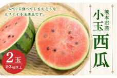 小玉西瓜 2玉入 1玉あたり1.5kg以上 すいか スイカ【2025年4月下旬～7月上旬発送予定】