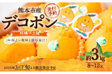 【2023年3月下旬より順次発送】 熊本市産 デコポン 約3kg(8～12玉) 