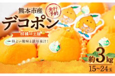デコポン 約3kg （15～24玉） 果物 くだもの フルーツ 柑橘 【2026年2月下旬～3月下旬迄順次発送予定】